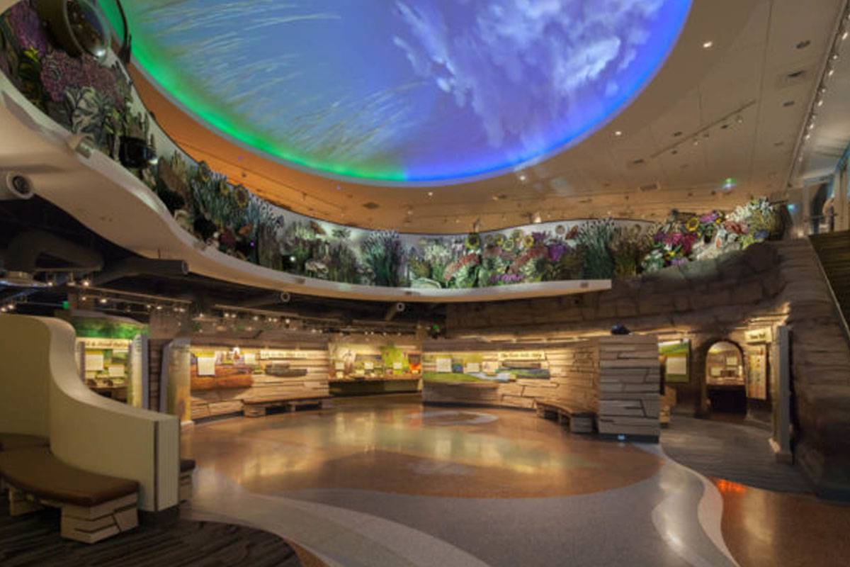 Projection on a dome ceiling over a scenic indoor exhibit of stone walls and greenery