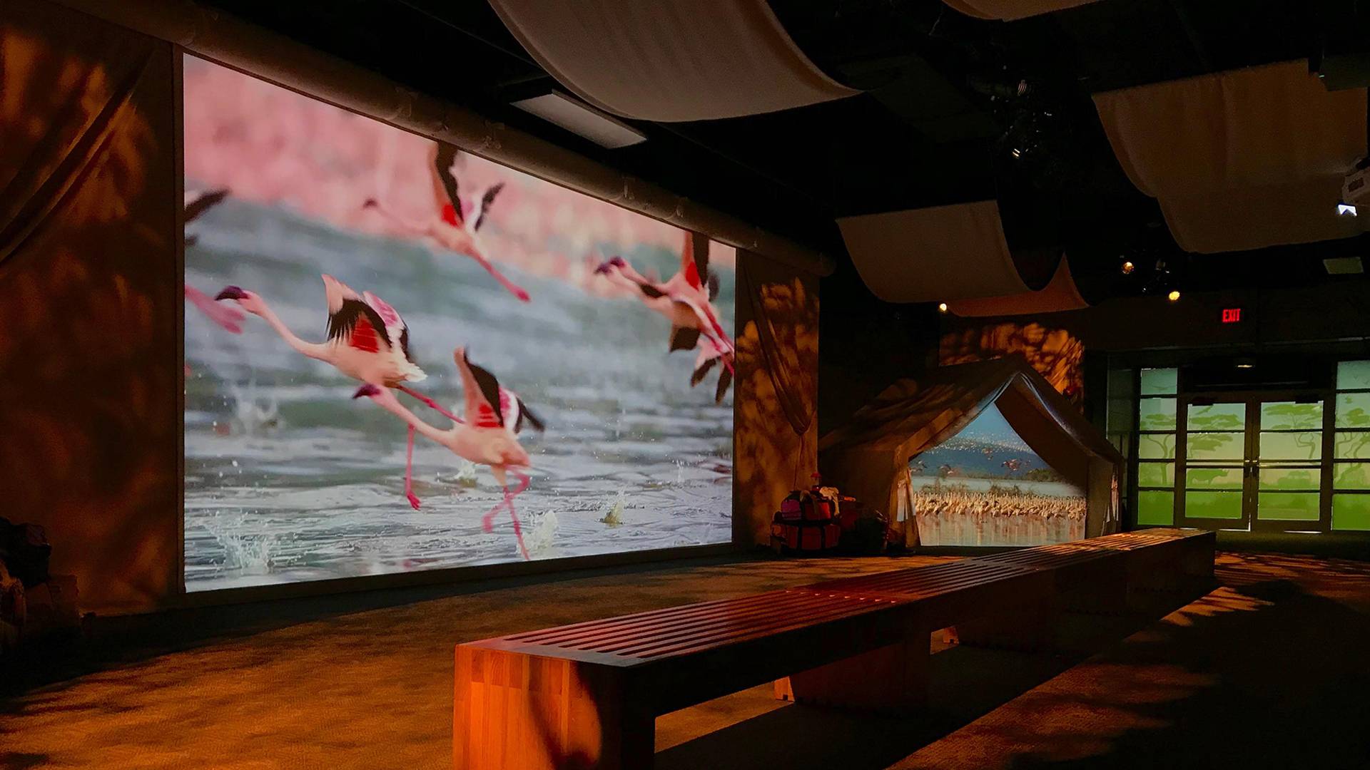 Exhibit screen shows flamingos flying over water