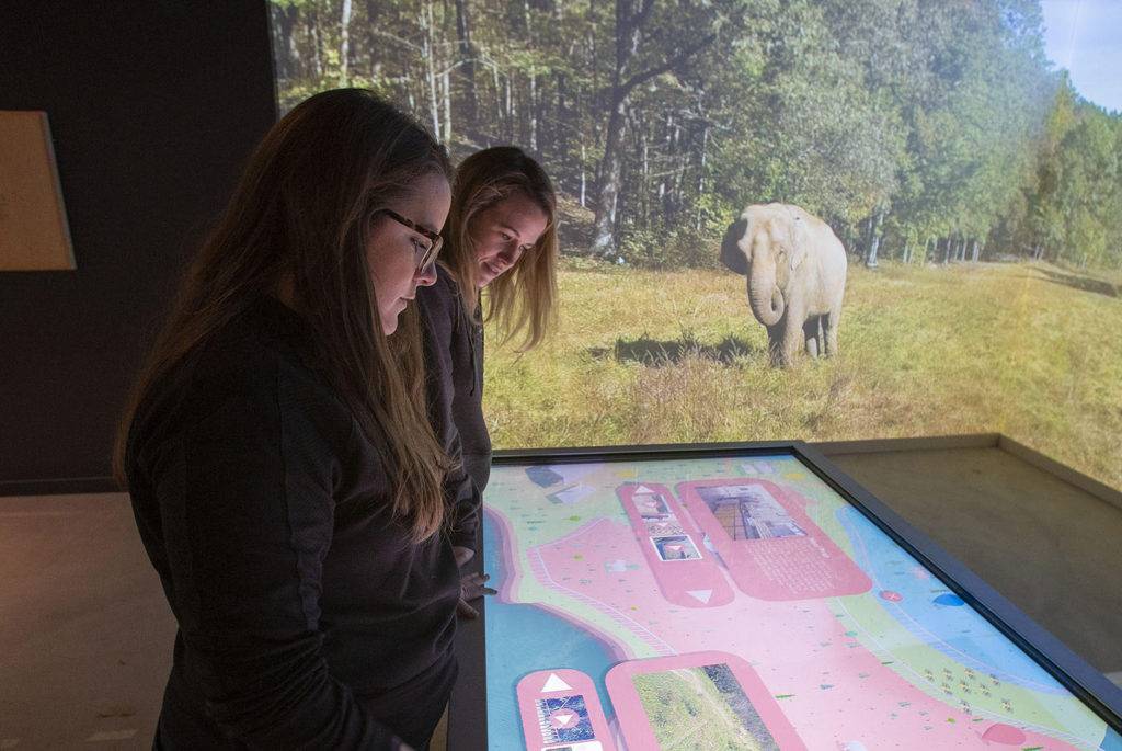 Visitors review sanctuary map with a multiscreen video of an elephant in background