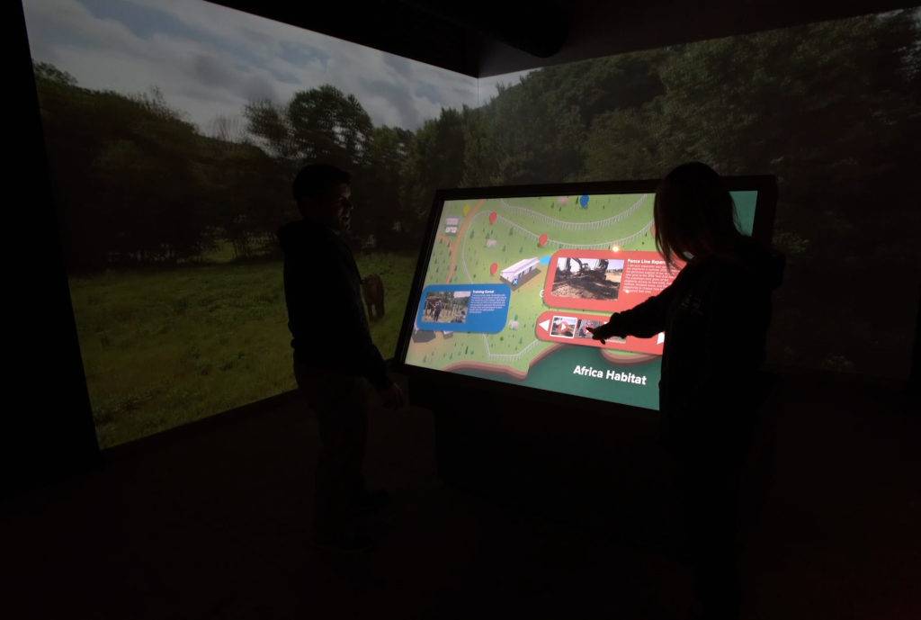 Visitors touching a map table with videos of the elephant sanctuary. A video of elephants is projected on the walls behind them.
